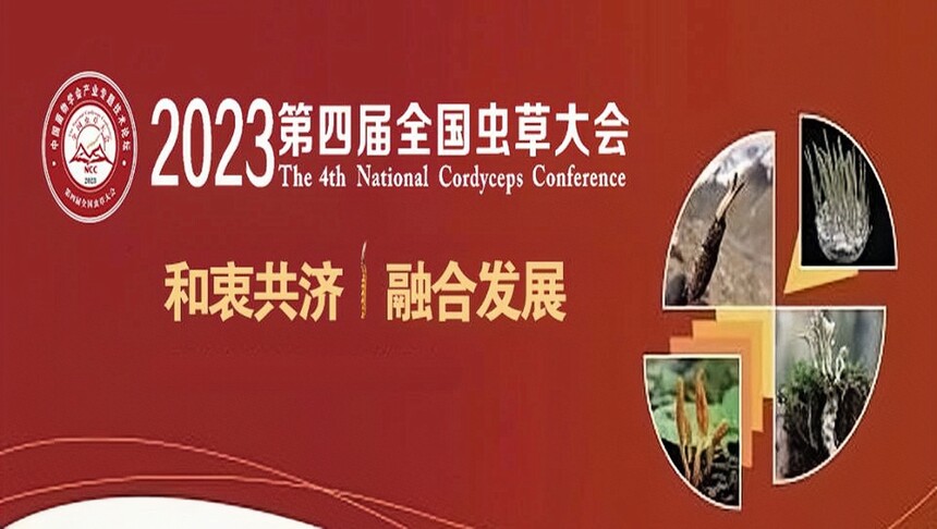 1686273606230985.jpg 1.jpg