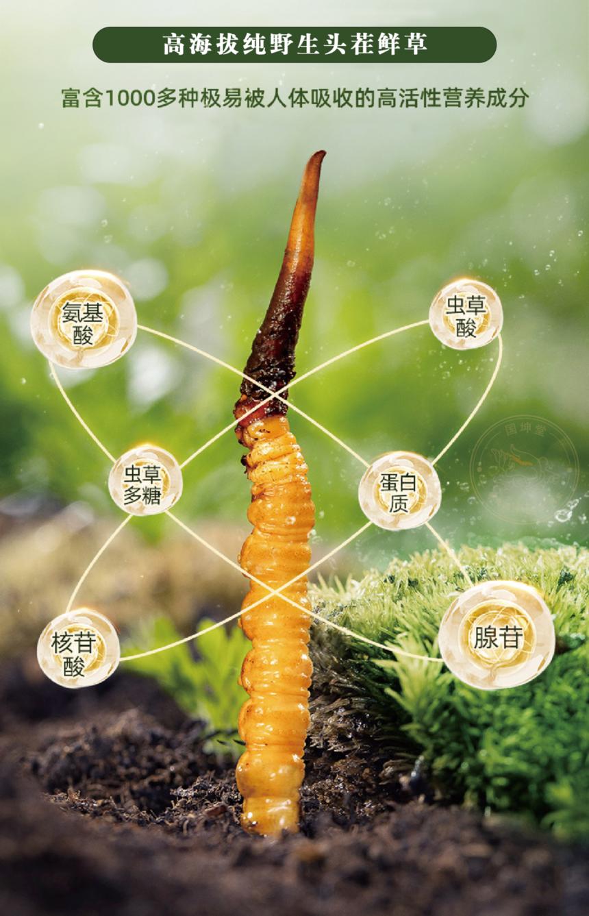 1744019835396959.png 图片3.png