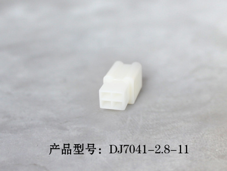 2-DJ7041-2.8-11.jpg