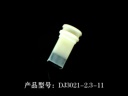 7-DJ3021-2.3-11.jpg