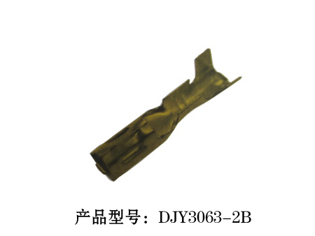 DJY3063-2B.jpg