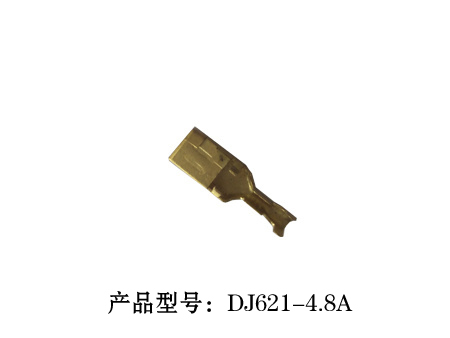 4-DJ621-4.8A.jpg