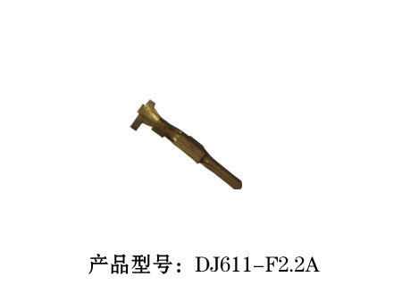 6-DJ611-F2.2A.jpg