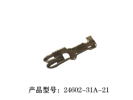 7-24602-31A-21.jpg