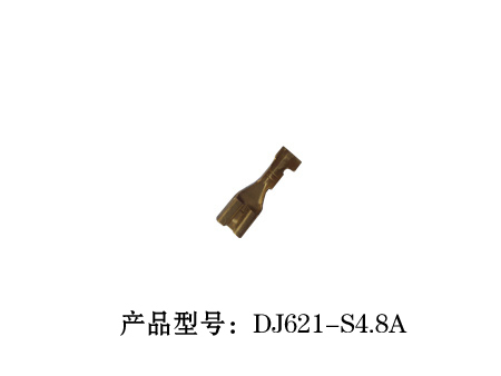 8-DJ621-S4.8A.jpg