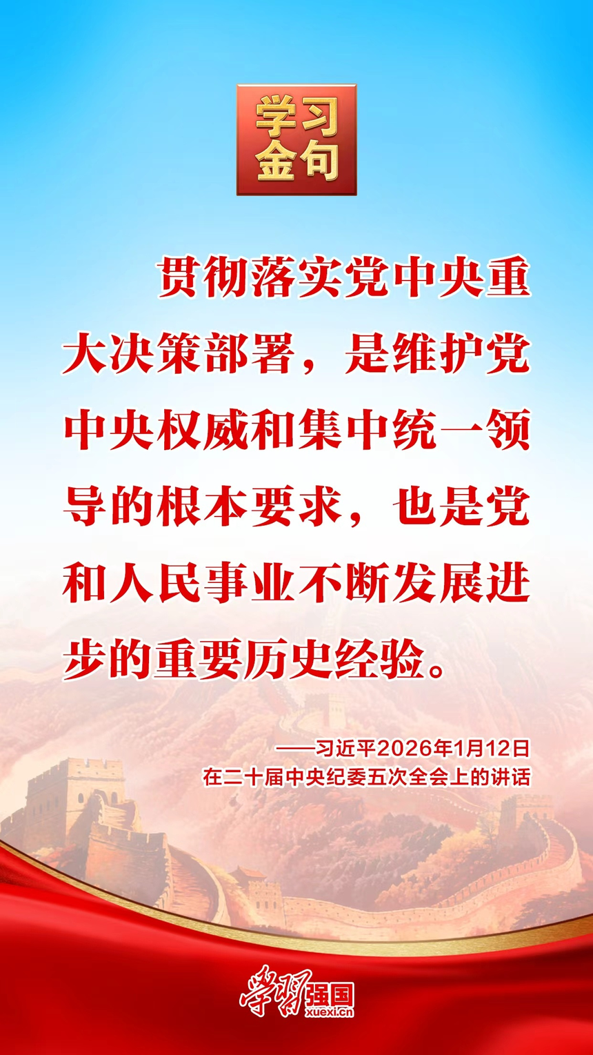 金句海报|习近平论以更高标准更实举措推进全面从严治党_驻马店市档案馆