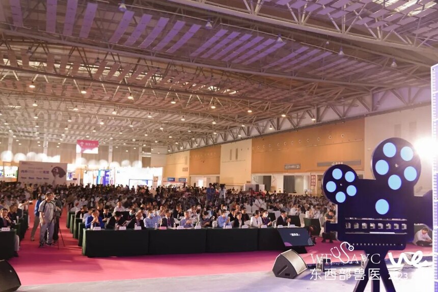 ʮ춫СٴҽʦʢĻ (2).jpg