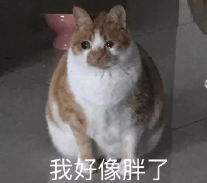 ͼƬ1(1).png