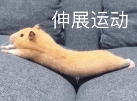 1737861871448023.png 1737861871448023.png