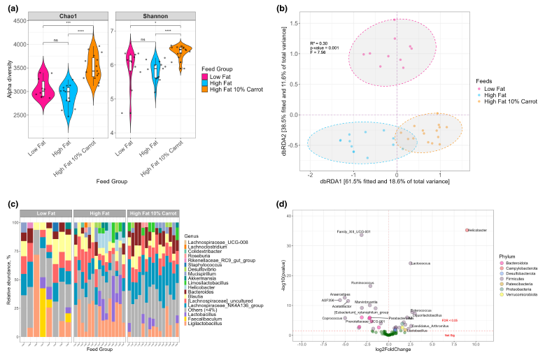 1739242488186373.png 250210-6.png