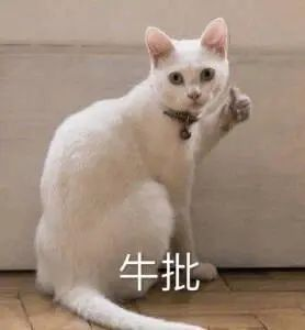 1743563059793261.png