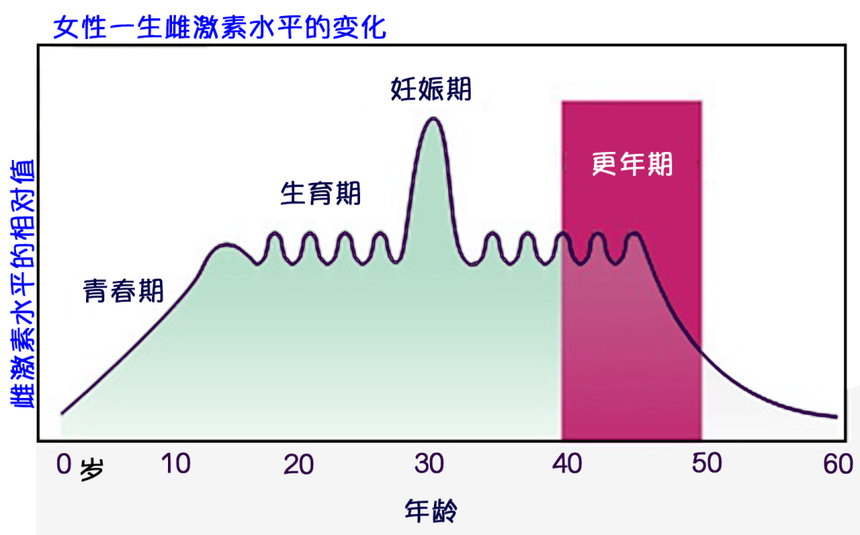 250402-4.png