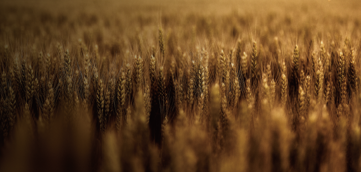 1654847657806845.png 微信图片_20220610155341.png