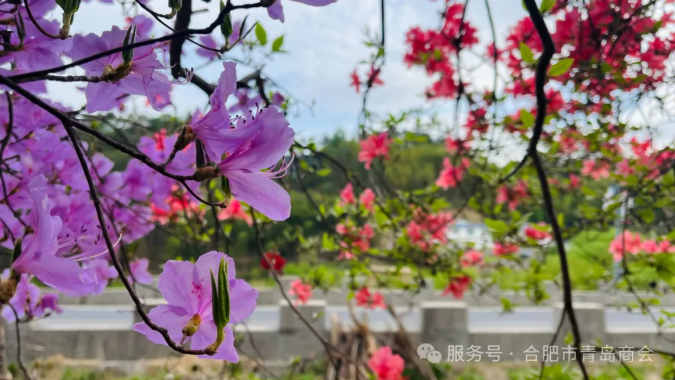 1759116427185644.png 1.png