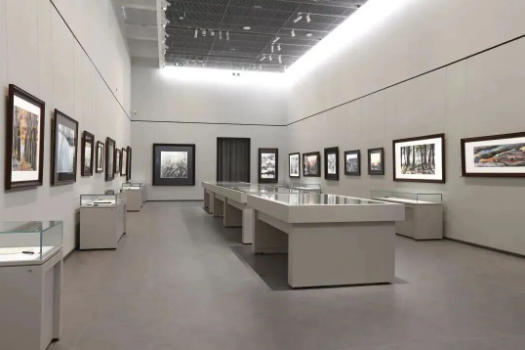 1773728048759926.jpg 9.jpg