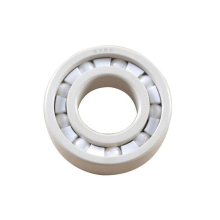 Ceramic bearing