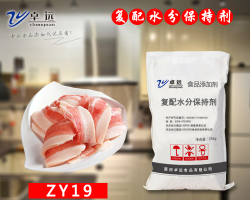 ZY19