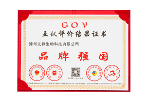 品牌强国