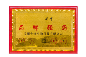 品牌强国