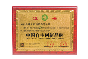 中国自主创新品牌