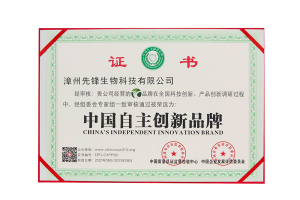 中国自主创新品牌