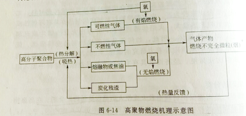 δ(bio)}-1.jpg