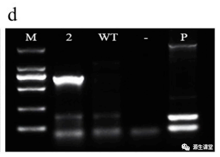 1665475974803655.png 10.png