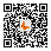 1783265521287290.jpg Cara老师-小.jpg