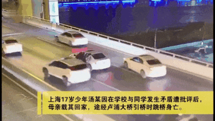 1735012410671379.gif 640.gif
