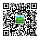 1774461_2185097_0.jpg