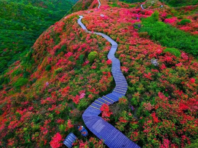 1660038347883077.png 3ab062ca1105c2e57ea6940d21340a00_1-210512110Z4439.png