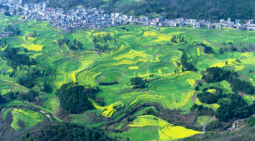 1678077543475820.png 1678077543475820.png