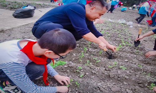 1667440766606905.png 图片13_副本.png