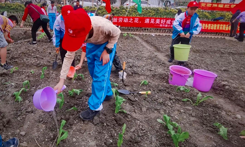 1667441049548066.png 图片16_副本.png