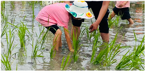 1685401436594619.png 图片23_副本.png