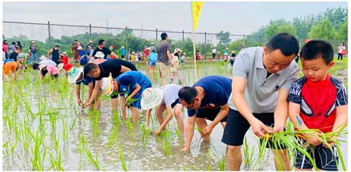 1685401488921697.png 图片22_副本.png