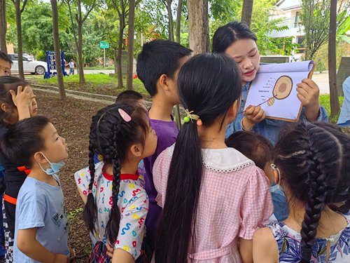 1686005317880072.png 图片8_副本.png