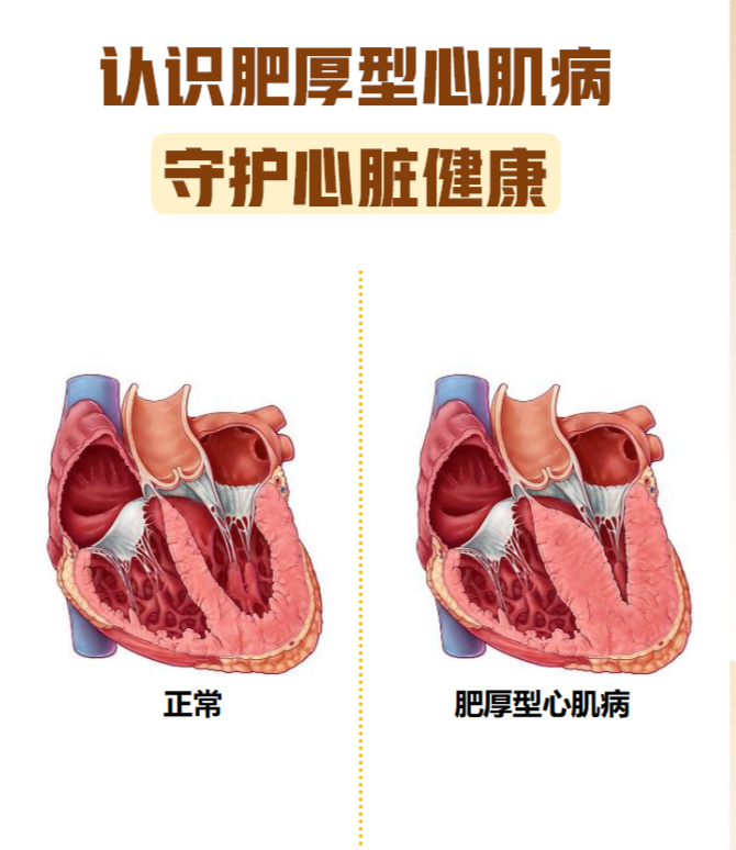 1761659305325135.png 11.png