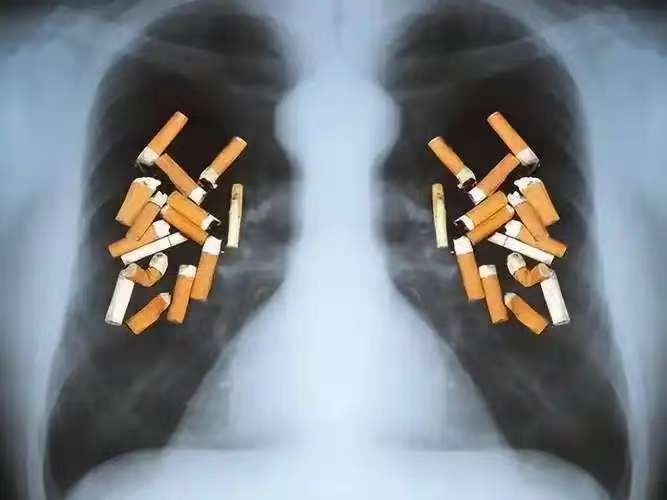 1762259640515078.jpg 11.jpg