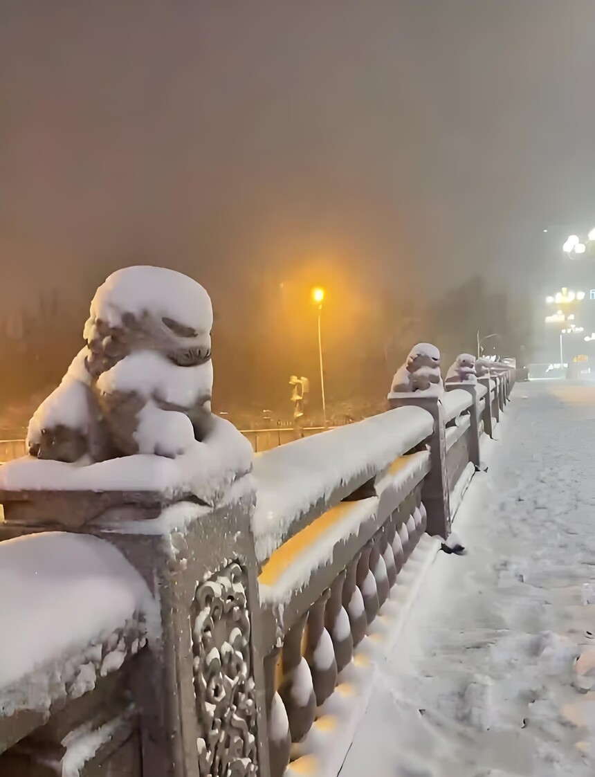 1762419846477546.jpg 12.jpg