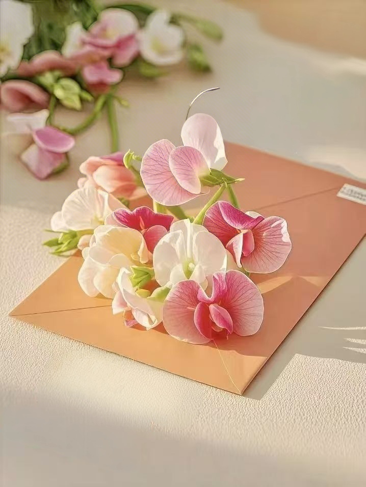 1762422545863003.jpg 111.jpg