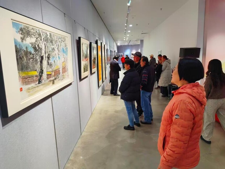 1763123916746079.jpg 12.jpg