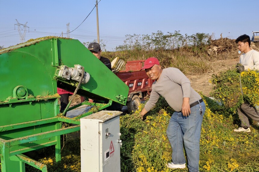 1763975907346885.jpg 13(1).jpg