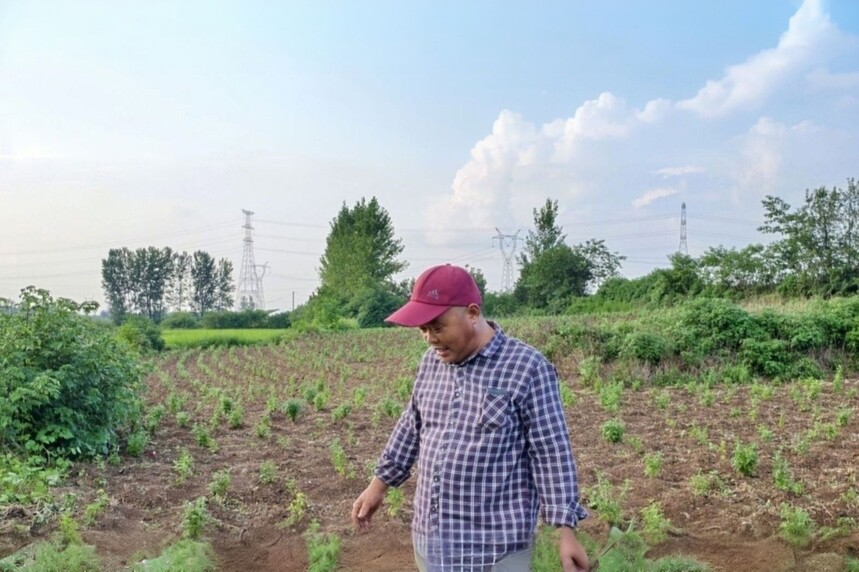 1763975943453338.jpg 15(1).jpg