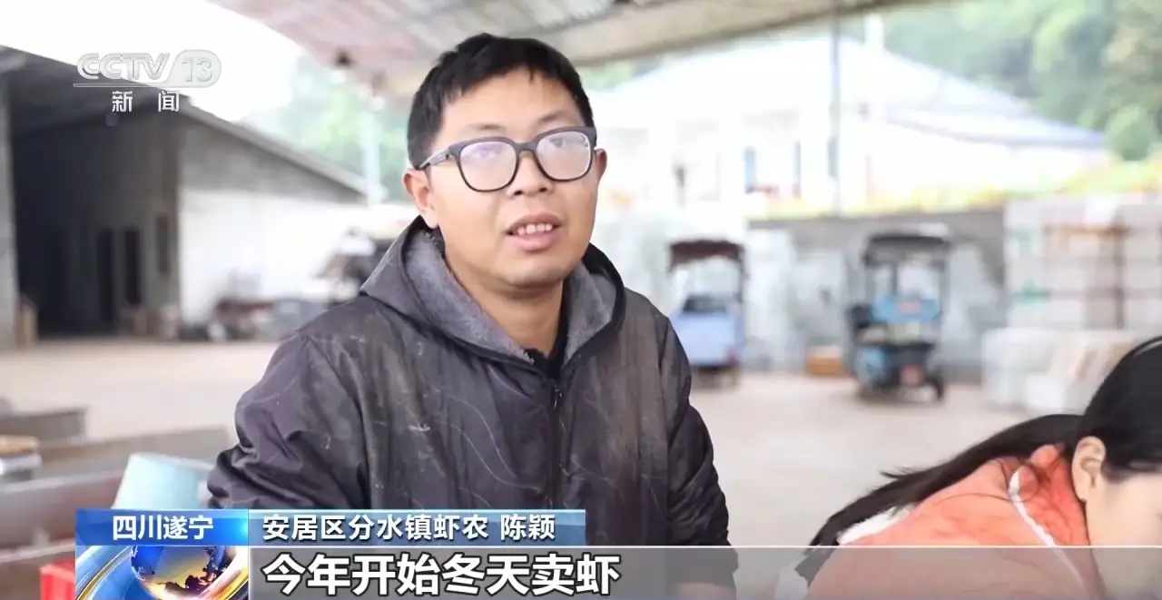 1763985874795861.jpeg 11.jpeg