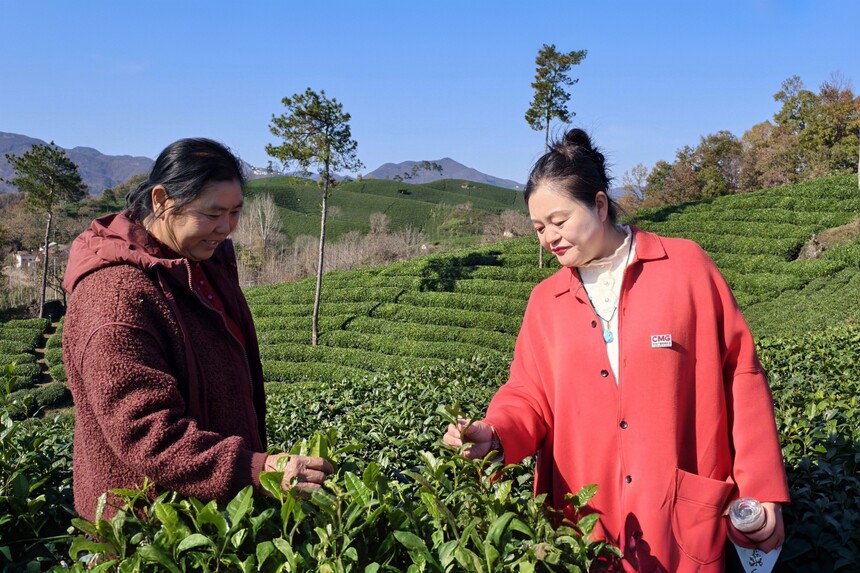 1764137307743590.jpg 12.jpg