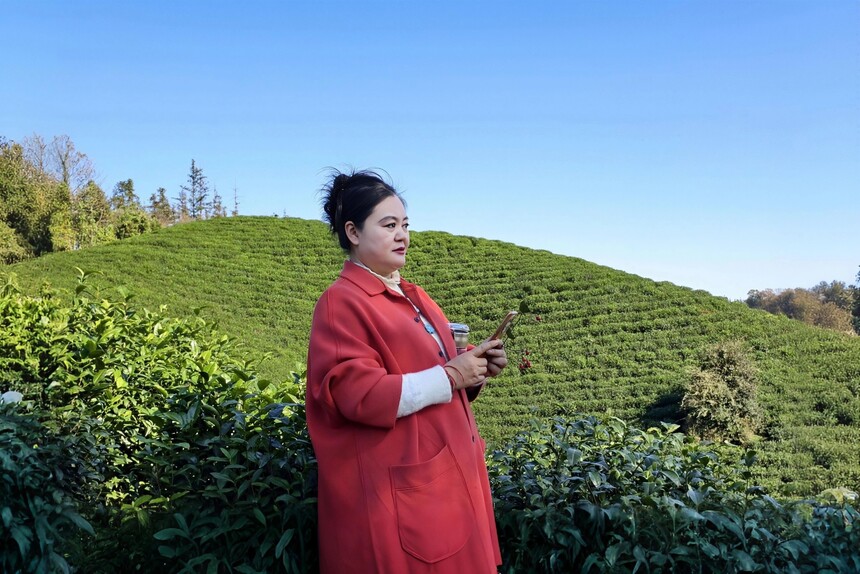 1764137510480460.jpg 11.jpg