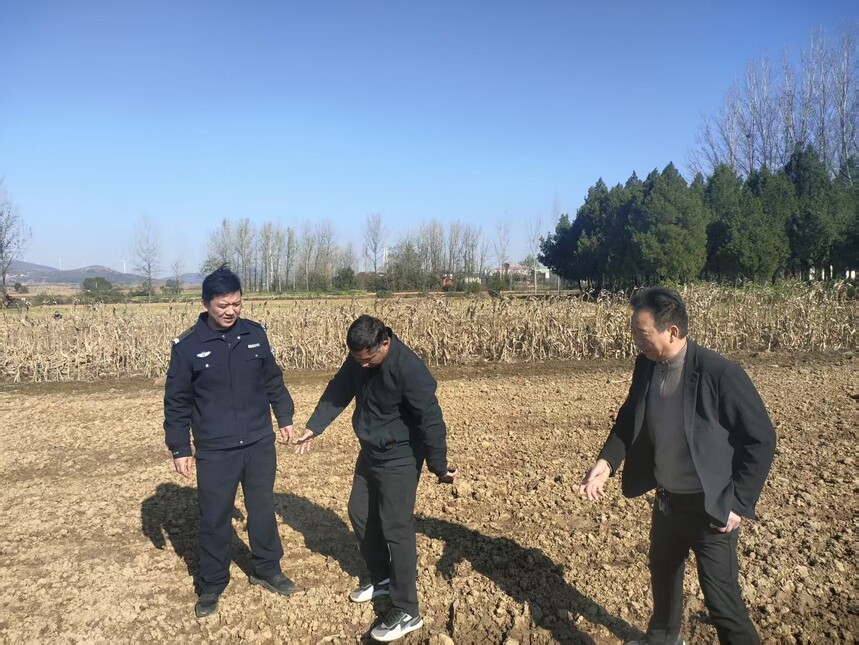 1764299798706866.jpg 6d9f2d5406cad0d859a607dc3bcbc436.jpg