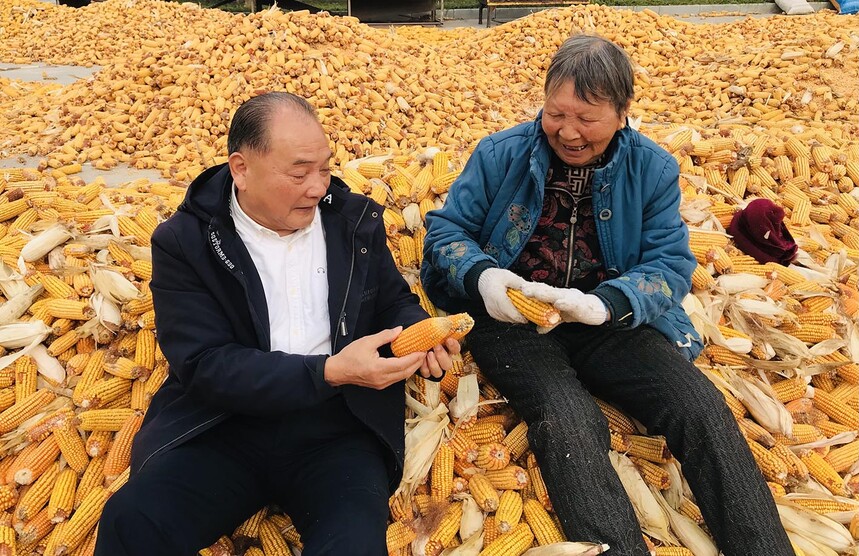 1764377095769879.jpg b368707359f9d9317040e772a487345d.jpg