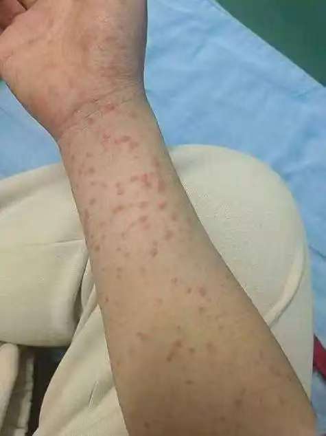 1764580441460081.jpg 10.jpg